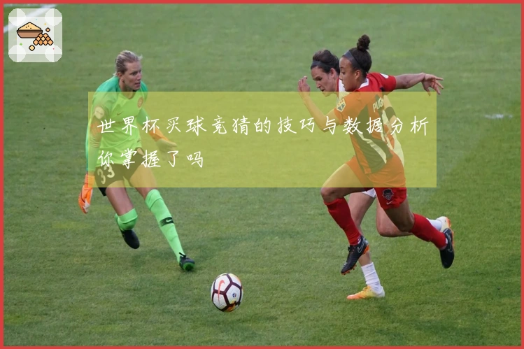 世界杯买球竞猜的技巧与数据分析你掌握了吗