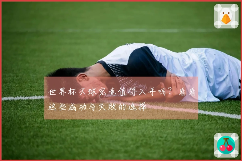 世界杯买球究竟值得入手吗？看看这些成功与失败的选择