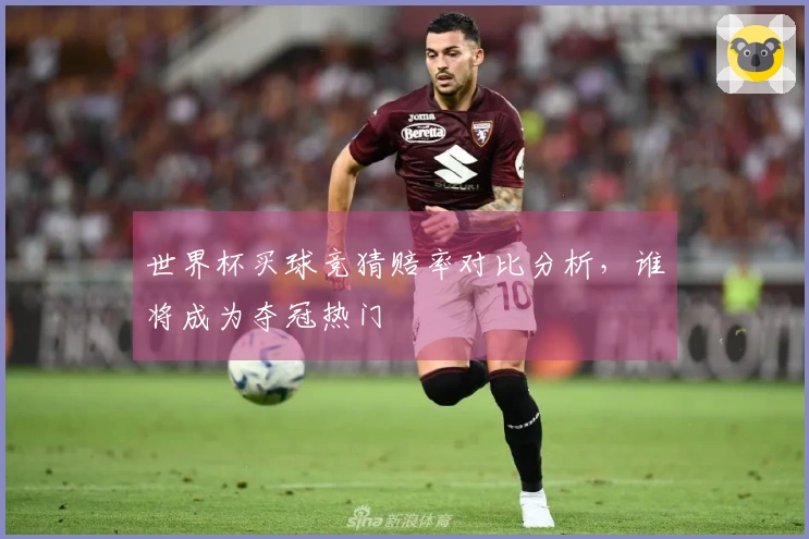 世界杯买球竞猜赔率对比分析，谁将成为夺冠热门