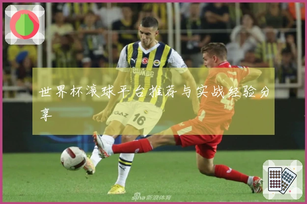 世界杯滚球平台推荐与实战经验分享