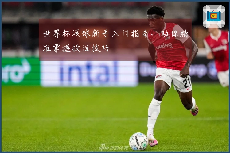 世界杯滚球新手入门指南，助你精准掌握投注技巧