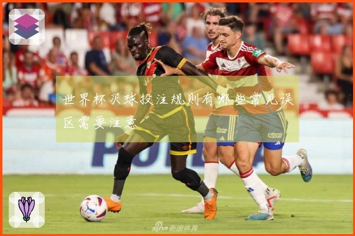 世界杯买球投注规则有哪些常见误区需要注意