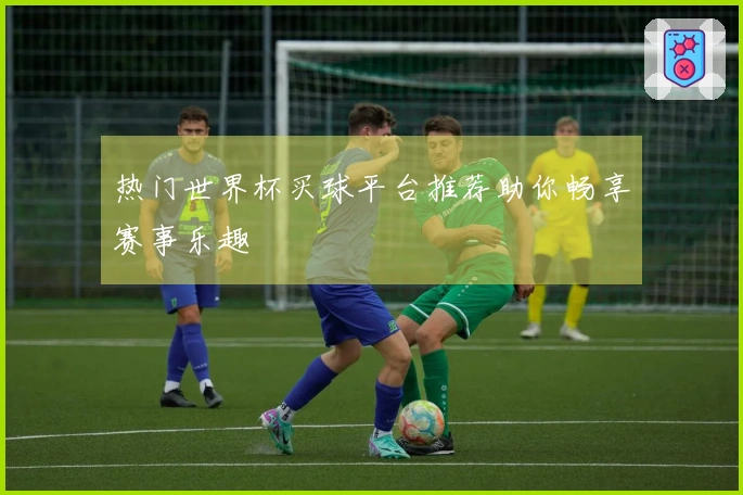 热门世界杯买球平台推荐助你畅享赛事乐趣