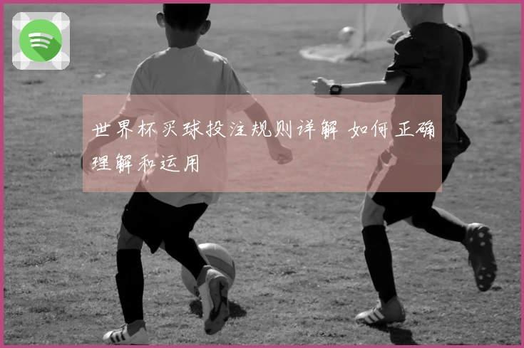 世界杯买球投注规则详解 如何正确理解和运用
